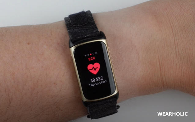 Fitness Band With ECG Feature